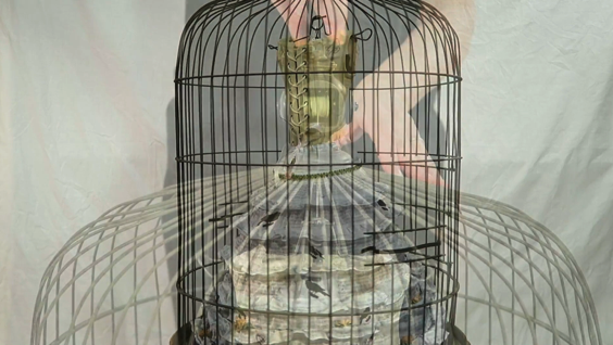 Unique artist book - corset series, victorian bird cage