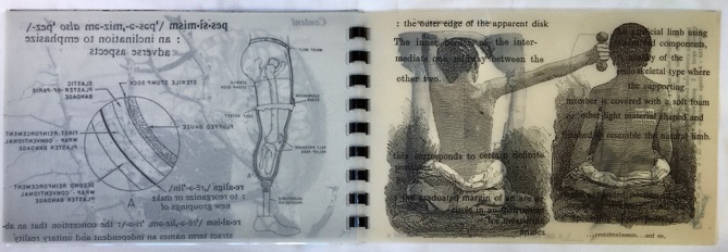 Tamar Stone artist book paper, overlapping images and text, vellum, acetate pages